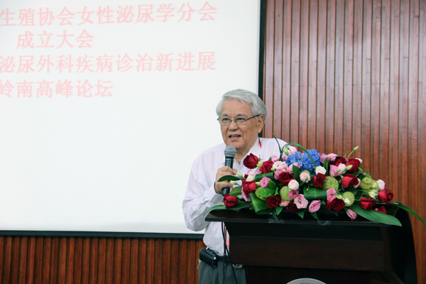 梅华.jpg